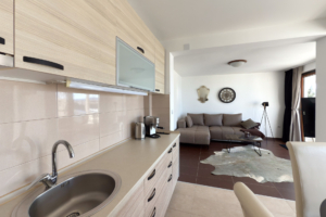 dina apartment 5