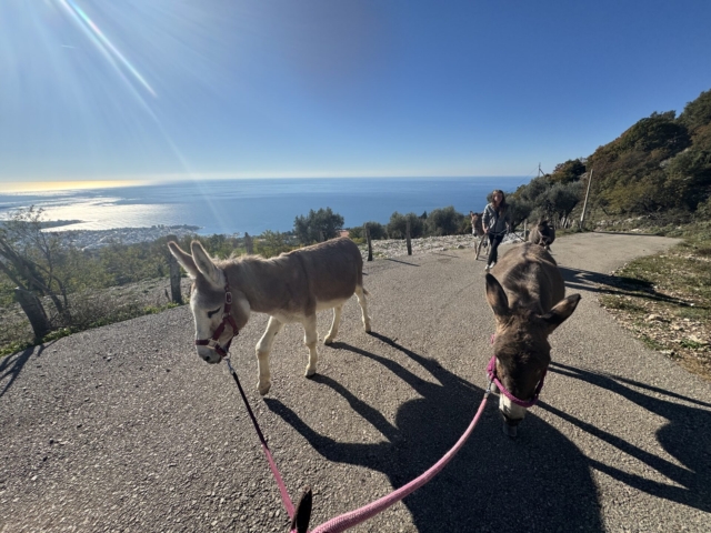 esel wanderung 1