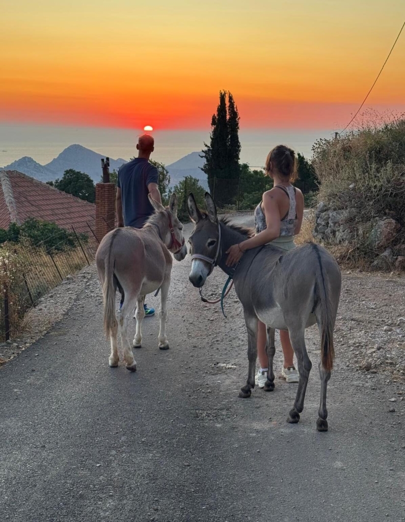 eselwandern sonnenuntergang 2