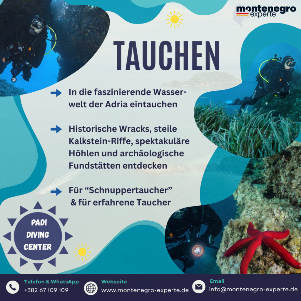 tauchen in Montenegro: die Wasserwelt der Adria entdecken